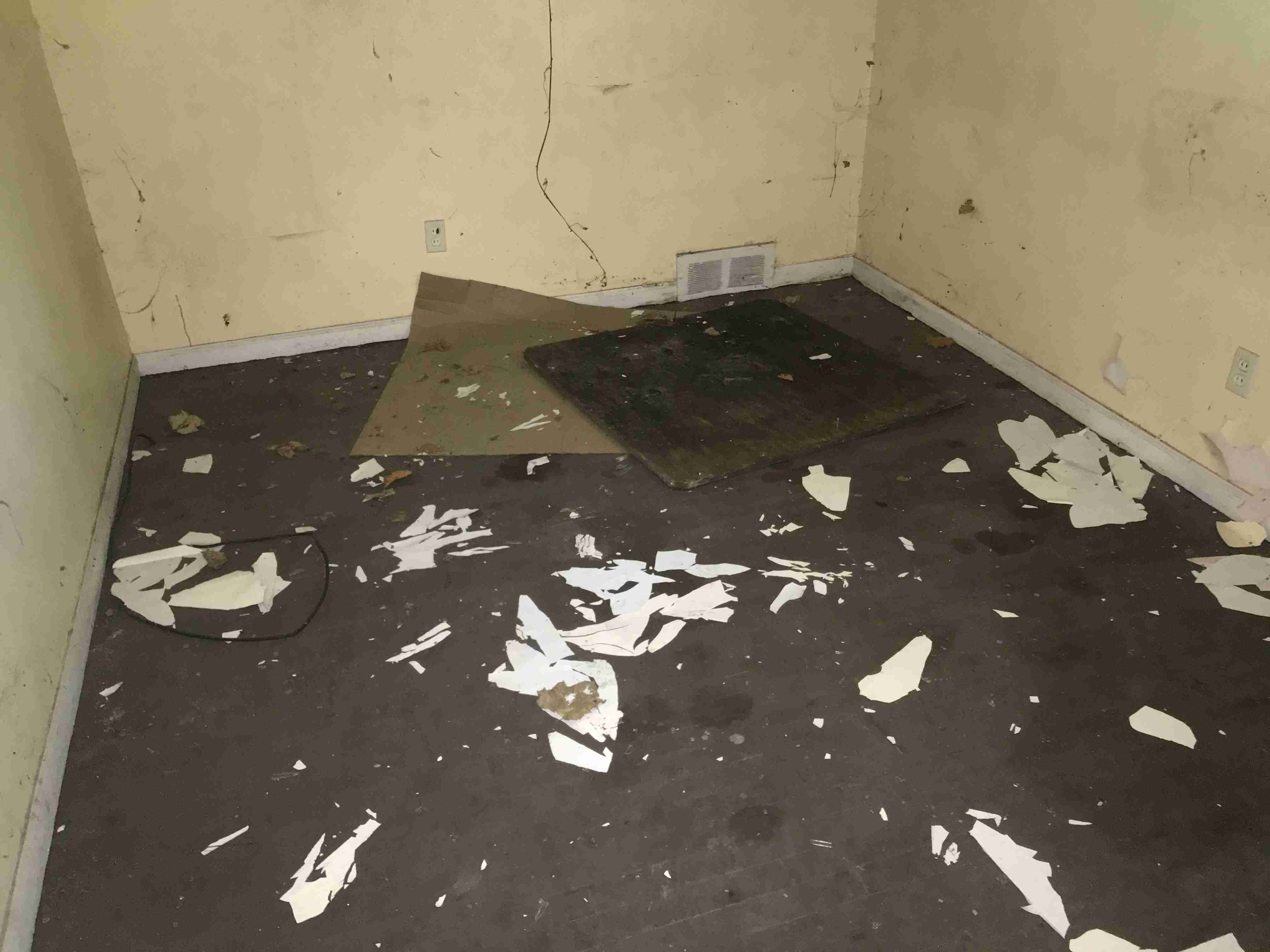 Photo Aug 21, 1 29 56 PM.jpg